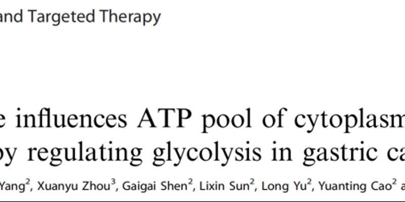 胃癌治疗新思路：二甲双胍联合疗法展现协同抗癌效果