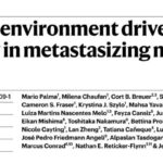 FSP1抑制剂：Nature重磅发现，有效抑制黑色素瘤淋巴结转移的新策略