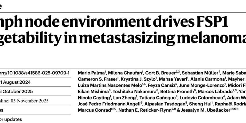 FSP1抑制剂：Nature重磅发现，有效抑制黑色素瘤淋巴结转移的新策略