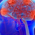 以毒攻毒新突破：蝎毒素CAR-T疗法治疗胶质母细胞瘤初显成效