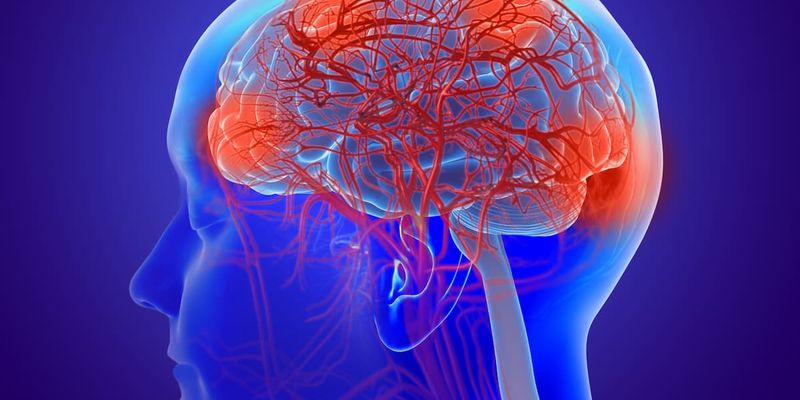 以毒攻毒新突破：蝎毒素CAR-T疗法治疗胶质母细胞瘤初显成效