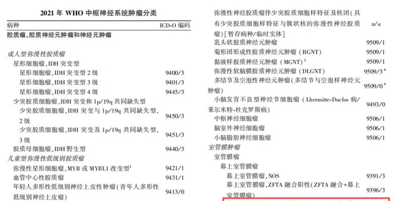 室管膜瘤新发现：TEAD1::NCOA2融合或成YAP1阳性亚型新变种