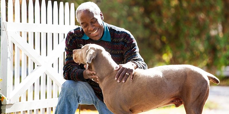 抗癌路上不孤单：宠物如何成为癌症患者的“心理良药”？