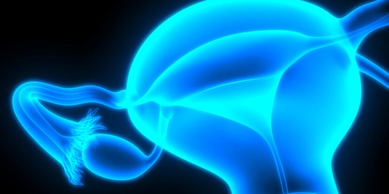 宫颈癌放疗“保护垫”：聚乙二醇水凝胶显著降低直肠辐射剂量，提升治疗安全性