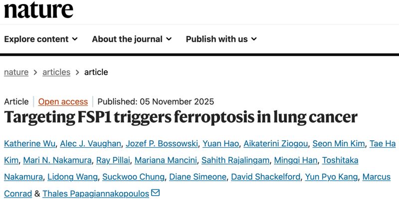 FSP1抑制剂：诱导铁死亡，为肺癌与黑色素瘤治疗带来突破性新希望