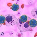 从CML到JAK2突变：血液病专家Mandy Lauw的科研与倡导之路