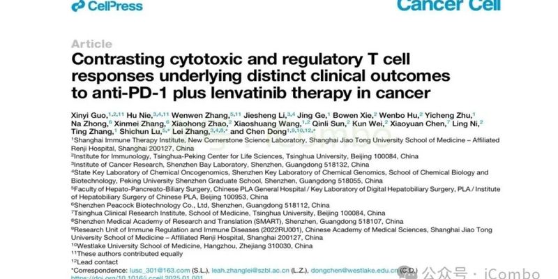 仑伐替尼联合PD-1抗体治疗肝癌新突破：揭示疗效关键的T细胞亚群