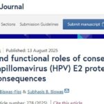 AI揭示HPV致癌新机制：E2蛋白关键突变或成宫颈癌治疗新靶点