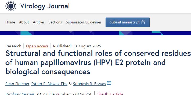 AI揭示HPV致癌新机制：E2蛋白关键突变或成宫颈癌治疗新靶点