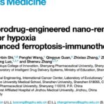 铁死亡+免疫治疗新策略：索拉非尼纳米药物显著缓解肿瘤缺氧，提升实体瘤治疗效果