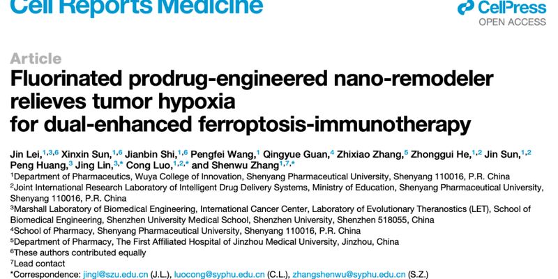铁死亡+免疫治疗新策略：索拉非尼纳米药物显著缓解肿瘤缺氧，提升实体瘤治疗效果