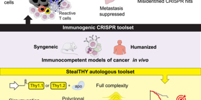 隐形CRISPR技术揭秘：AMH-AMHR2成抑制乳腺癌、肺癌转移新靶点