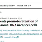 揭秘癌症“永生”密码：ecDNA如何劫持基因组，驱动肿瘤耐药与进化？