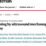 Nature子刊重磅：超声引导CAR-T疗法攻克实体瘤，精准治疗新策略