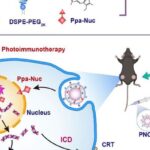 奥拉帕利联合光动力疗法新突破：精准打击癌细胞DNA，为胰腺癌治疗带来新曙光