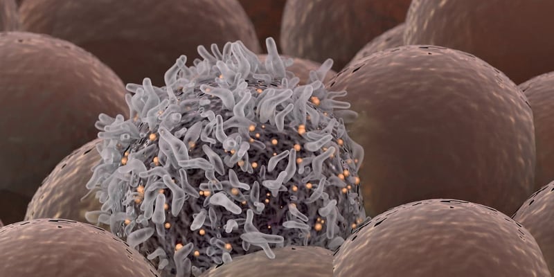 MEK抑制剂新突破：PAS-004 I期研究数据公布，为MAPK通路驱动的实体瘤带来新希望