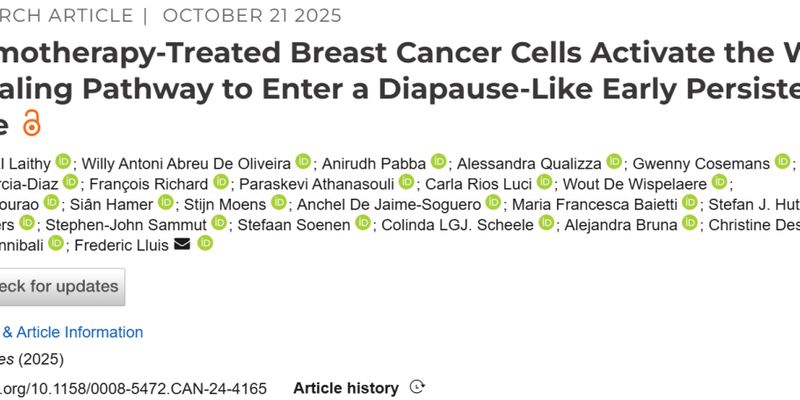 化疗后乳腺癌细胞“装死”之谜揭开：WNT通路是关键，联合治疗或成新希望