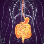 胃肠道间质瘤（GIST）二线治疗新突破：贝祖克替尼组合疗法将疾病进展风险减半！