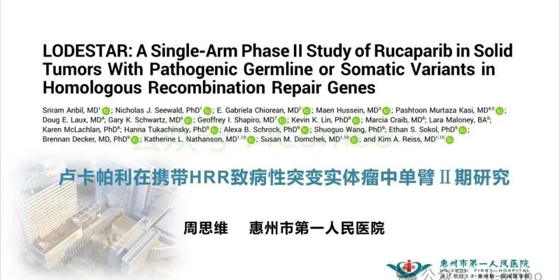 卢卡帕利治疗HRR突变实体瘤：LODESTAR研究揭示HRD检测是关键
