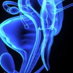 十年治愈希望！新型T细胞疗法在HPV相关上皮癌中展现惊人疗效