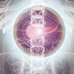 KRAS突变胰腺癌新希望：ELI-002 7P疫苗在2期试验中激活强大T细胞免疫应答！