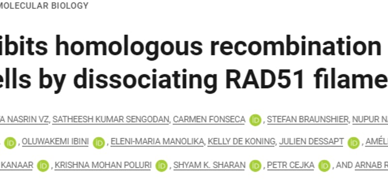 攻克BRCA2突变癌症耐药性！《科学》重磅发现为PARP抑制剂治疗带来新曙光