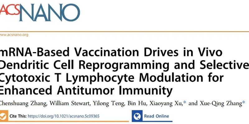 mRNA疫苗抗癌新突破:体内重编程免疫细胞,高效对抗结肠癌与黑色素瘤
