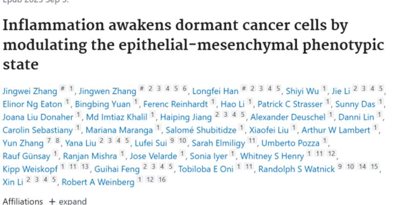 PNAS研究警示：慢性炎症如何“唤醒”休眠癌细胞？这些食物或是复发元凶
