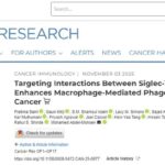 胰腺癌免疫治疗新突破：新型抗体撕开“糖衣”伪装，让癌细胞无处可逃