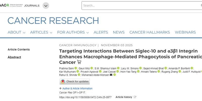 胰腺癌免疫治疗新突破：新型抗体撕开“糖衣”伪装，让癌细胞无处可逃