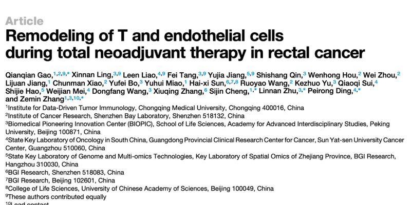 直肠癌治疗新突破：全程新辅助治疗如何激活免疫系统对抗肿瘤？