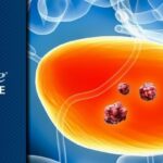 新型FGFR3抑制剂Vepugratinib治疗尿路上皮癌：FORAGER-1临床研究揭示积极疗效