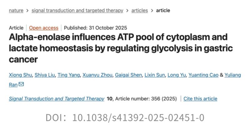 二甲双胍：不止是降糖药，更是胃癌治疗与抗衰老的新希望