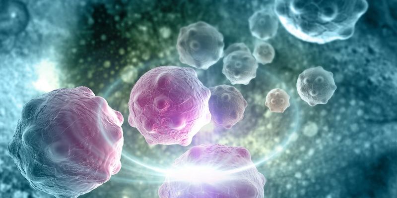 MB-105获FDA RMAT资格：T细胞淋巴瘤治疗迎来新曙光