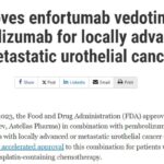 FGFR3阳性尿路上皮癌新突破：维普格拉替尼单药及三联疗法临床数据公布