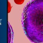 “即用型”CAR-T疗法Vispa-cel挑战自体疗法：治疗B细胞非霍奇金淋巴瘤疗效持久