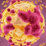 INT230-6瘤内注射新疗法：晚期实体瘤临床研究显示生存期显著延长