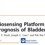 顺铂化疗是福是祸？ACS Nano新技术揭示膀胱癌个体化治疗新方向