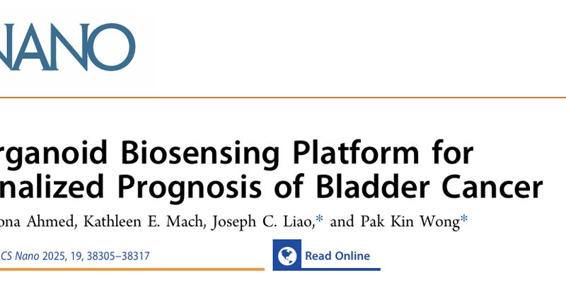 顺铂化疗是福是祸？ACS Nano新技术揭示膀胱癌个体化治疗新方向