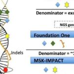 肿瘤突变负荷(TMB)深度解析：如何预测免疫治疗效果？