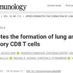 肺癌免疫治疗新突破：GPR25分子被发现，有望将“冷肿瘤”转化为“热肿瘤”