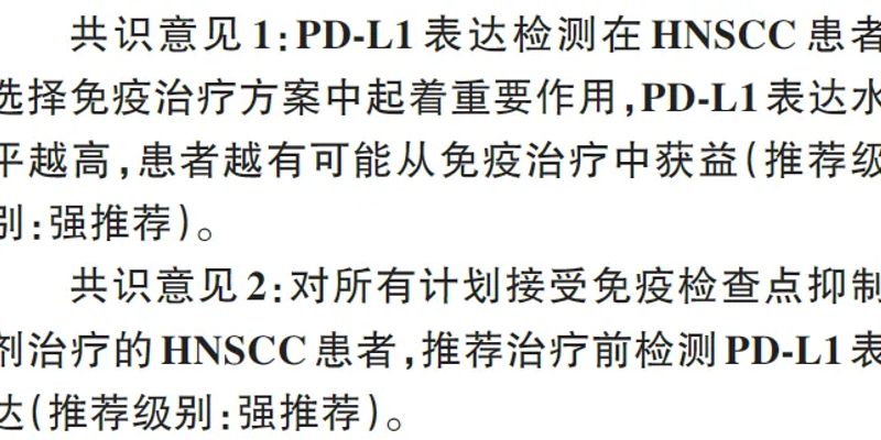 头颈癌免疫治疗关键：如何选择PD-L1检测抗体（22C3/28-8）？