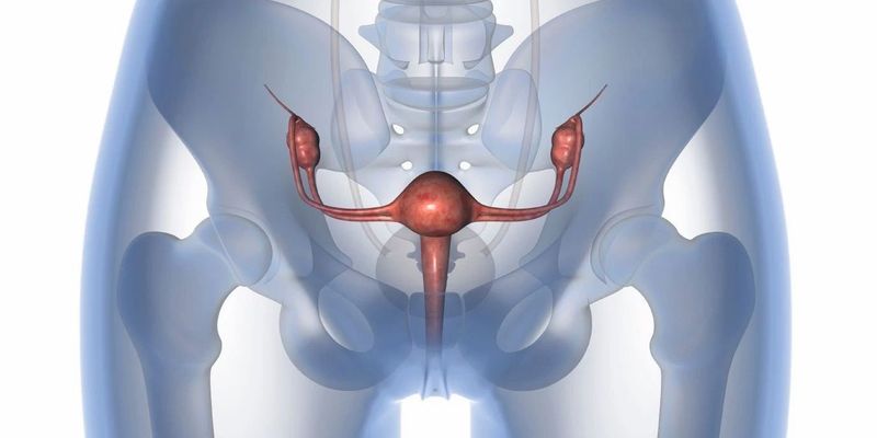 阿替利珠单抗联合尼拉帕利治疗卵巢癌：ANITA III期研究未达预期