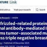 三阴性乳腺癌（TNBC）治疗新突破：SFRP2抗体如何激活免疫细胞，克服化疗耐药？