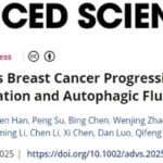 TRIM38抑制乳腺癌进展新机制揭秘：自噬调控与潜在治疗靶点深度解析