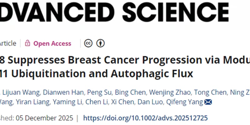 TRIM38抑制乳腺癌进展新机制揭秘：自噬调控与潜在治疗靶点深度解析
