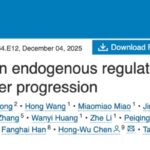 《Molecular Cell》封面研究：揭示胃癌“定海神针”NR4A1，靶向新策略带来治疗新希望