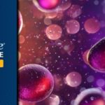 多发性骨髓瘤新突破：KRd方案在初诊患者中显著优于VRd方案，无进展生存期更长