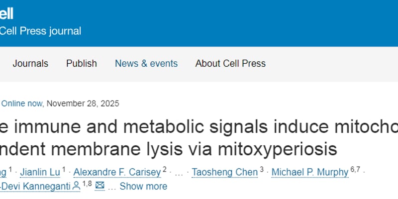 癌症治疗新突破：线粒体氧化膜裂死亡机制揭秘，mTOR通路如何诱导肿瘤细胞“自毁”？