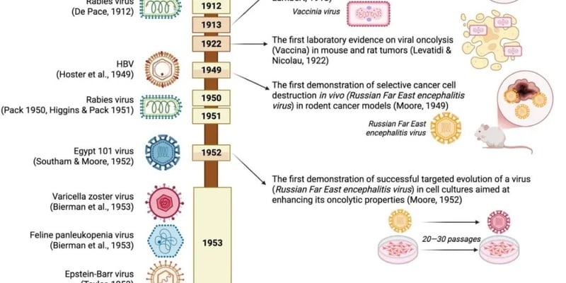 溶瘤病毒：癌症免疫治疗新纪元，精准“以毒攻毒”的抗癌策略